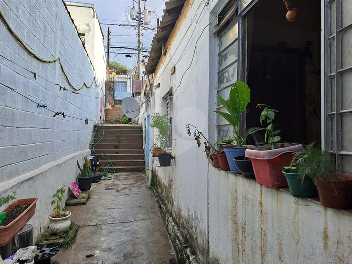 Foto REO1063715