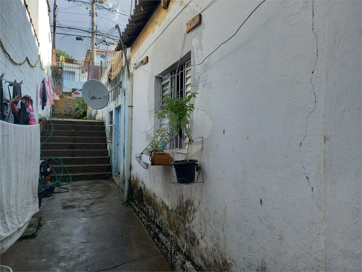 Foto REO1063715