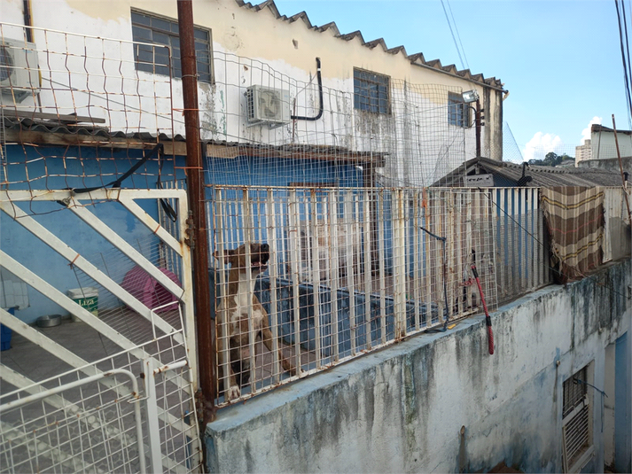Foto REO1063715