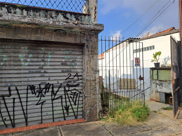 Foto REO1063715