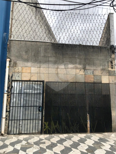 Foto REO1063743
