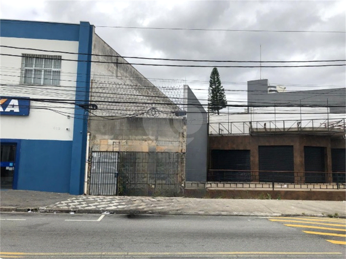 Foto REO1063743