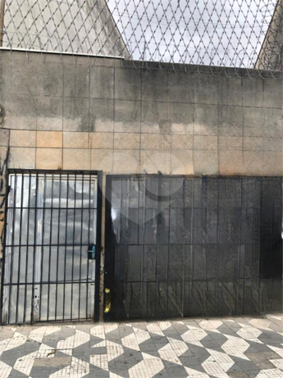 Foto REO1063743