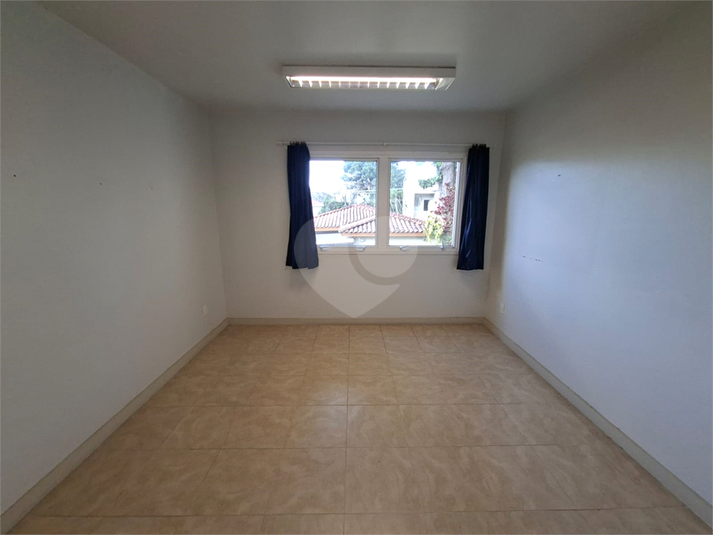 Foto REO1063744
