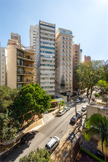 Foto REO1063765