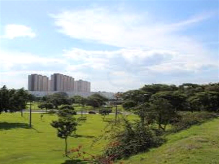 Foto REO1063772