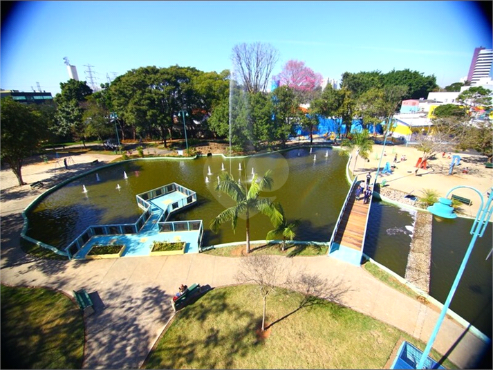 Foto REO1063772