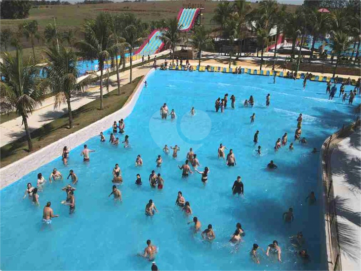 Foto REO1063772
