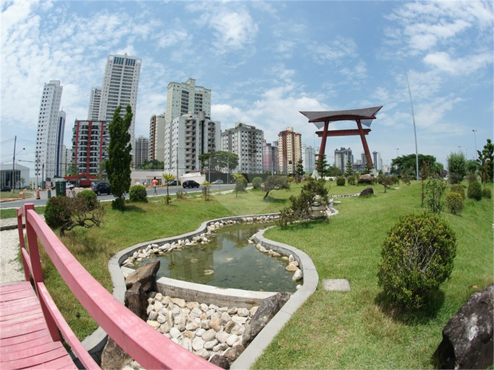 Foto REO1063772