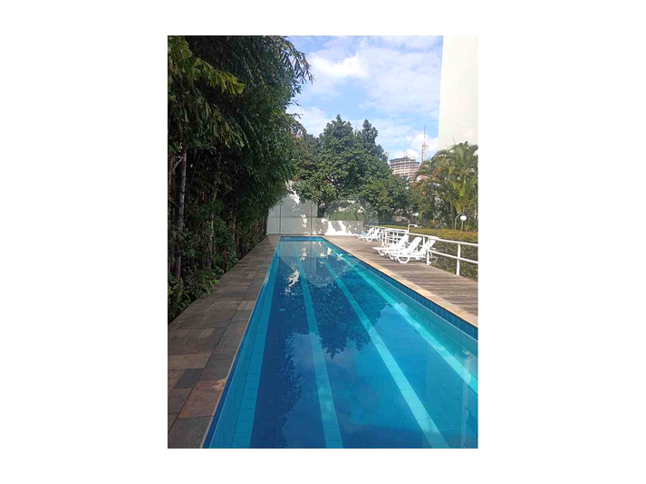 Foto REO1063775