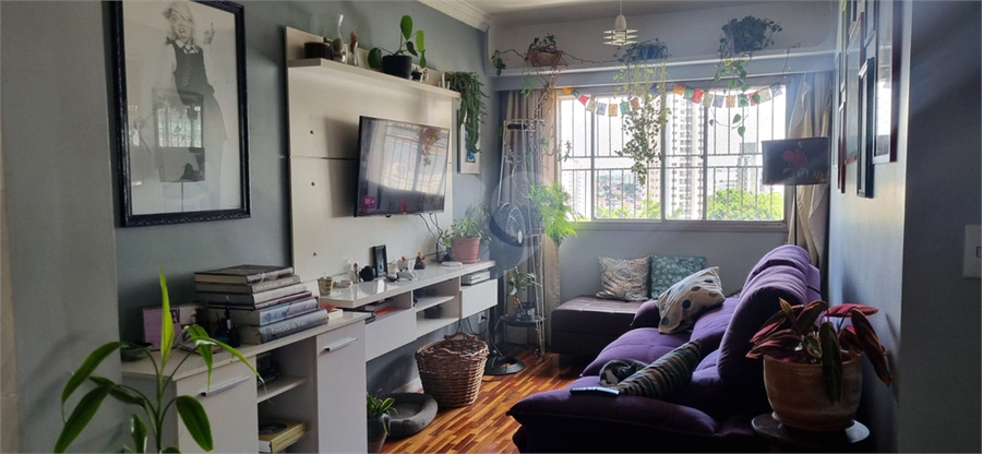 Foto REO1063780