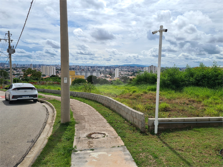 Foto REO1063812