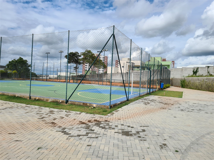 Foto REO1063812
