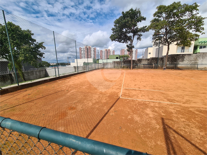 Foto REO1063812
