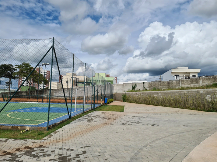 Foto REO1063812