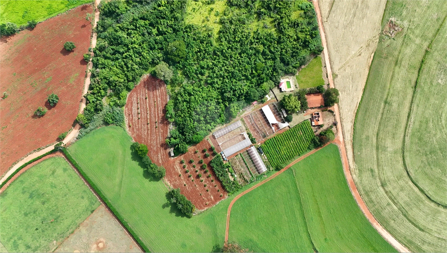 Venda Sítio Santo Antônio De Posse Colina Da Paineira REO1063814 4