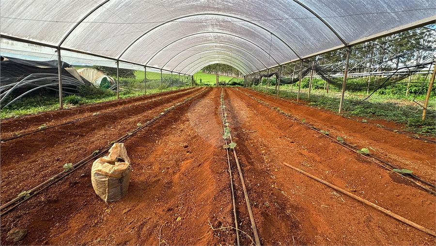 Venda Sítio Santo Antônio De Posse Colina Da Paineira REO1063814 20