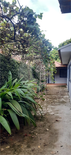 Venda Casa Araraquara Cidade Jardim REO1063839 2