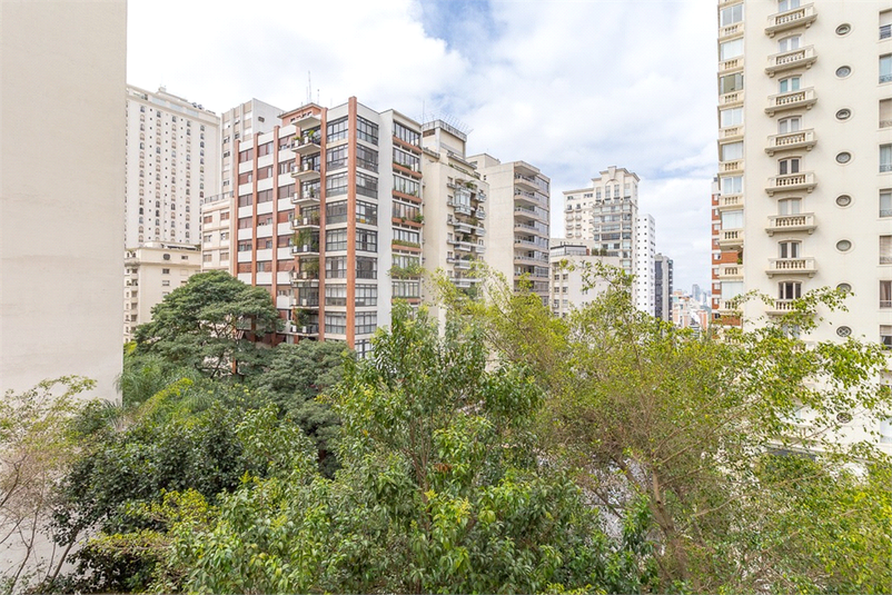 Foto REO1063858