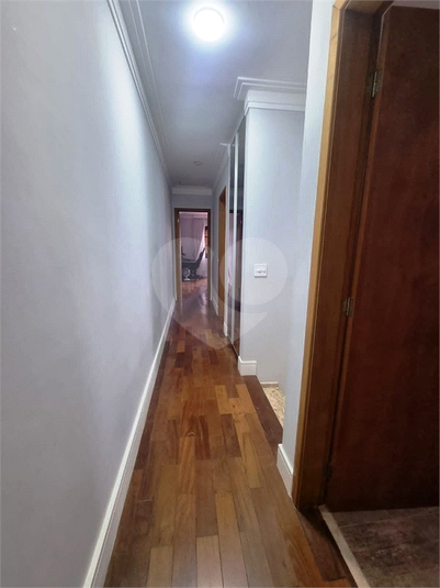 Foto REO1063871