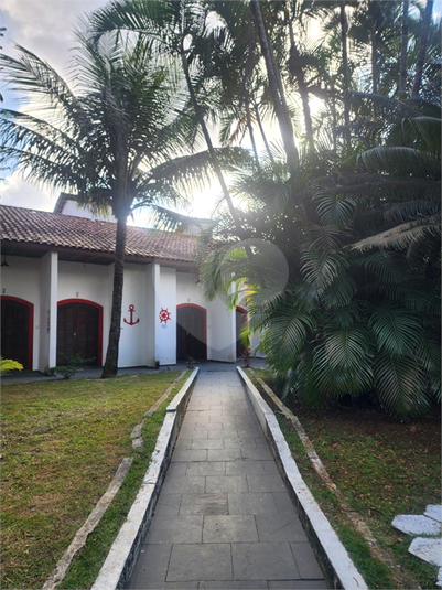 Foto REO1063909