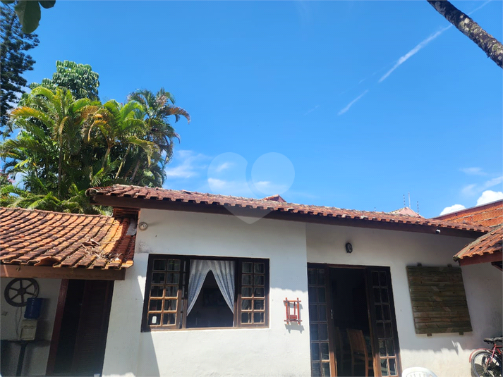 Foto REO1063909