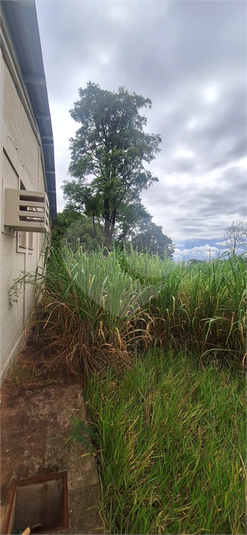 Venda Galpão Campo Grande Panorama REO1063917 5