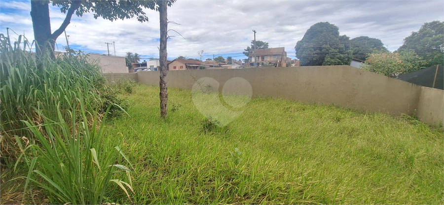 Venda Galpão Campo Grande Panorama REO1063917 6