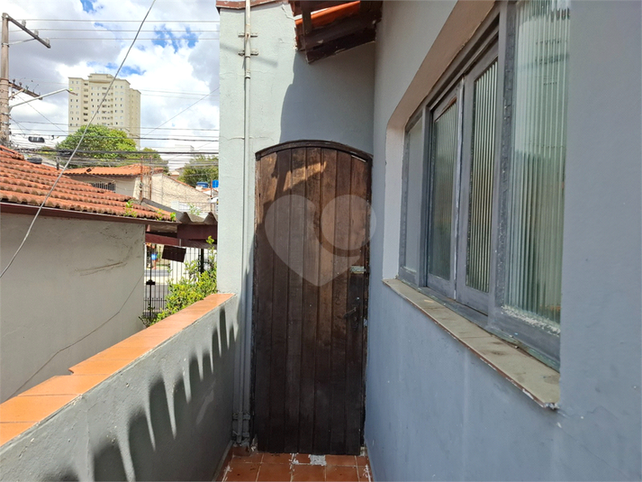 Foto REO1063968