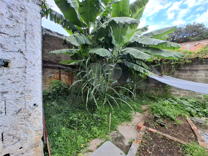 Foto REO1063968