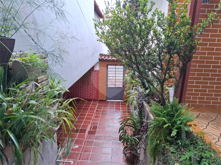 Foto REO1063968