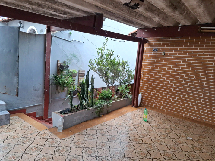 Foto REO1063968