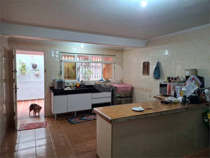 Foto REO1063968