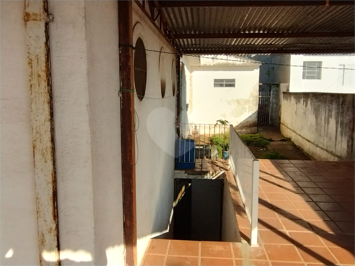 Foto REO1064007