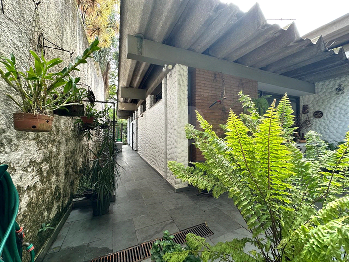 Foto REO1064081