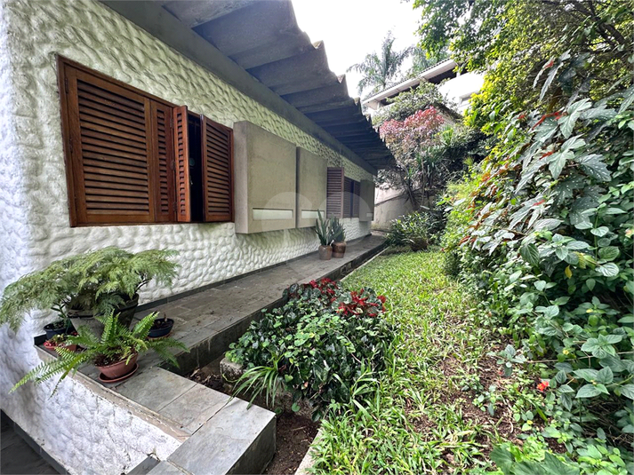 Foto REO1064081