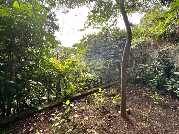 Foto REO1064081