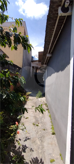 Foto REO1064096