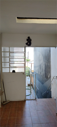 Foto REO1064096