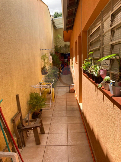Foto REO1064147