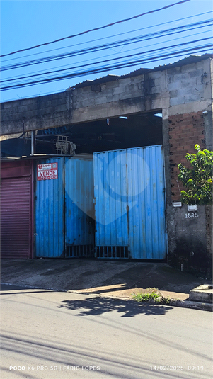 Foto REO1064176