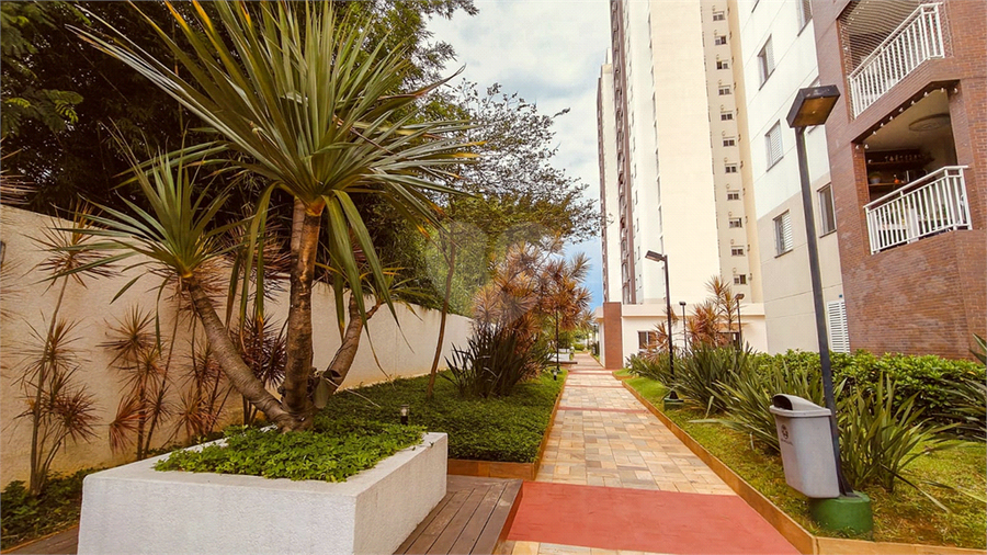 Aluguel Apartamento São Paulo Jaguaré REO1064184 17