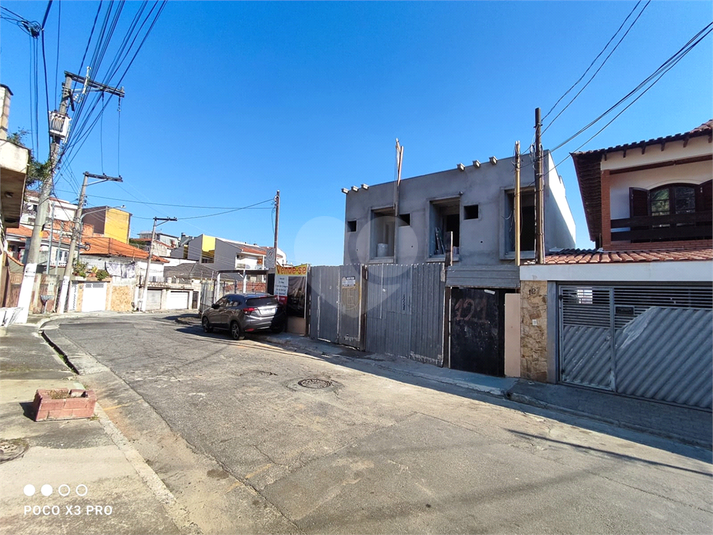 Foto REO1064236