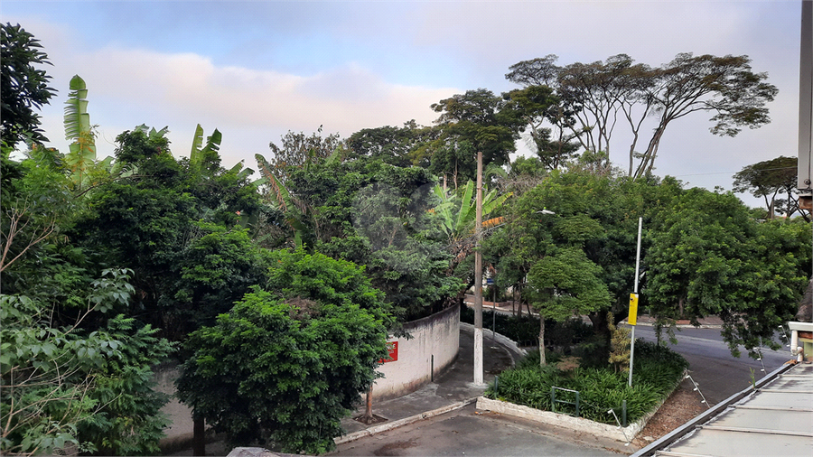 Foto REO1064254