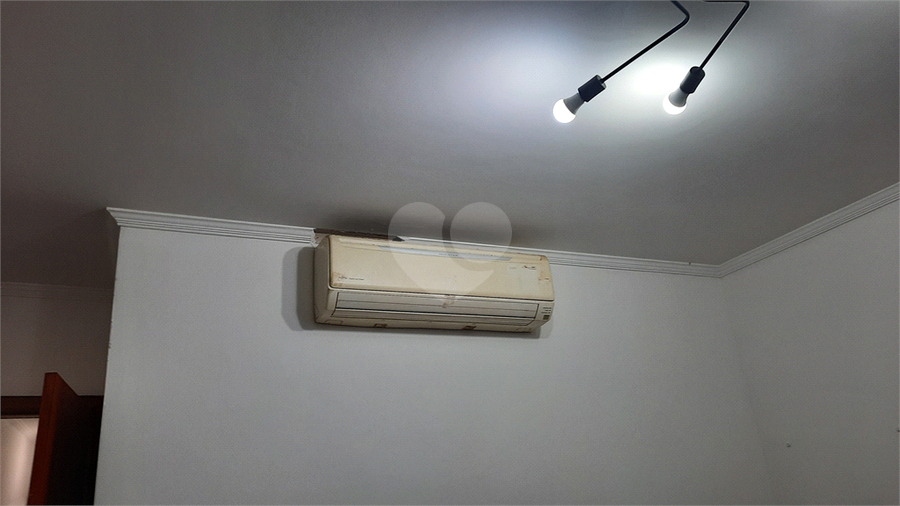 Foto REO1064254