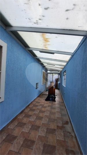 Foto REO1064254