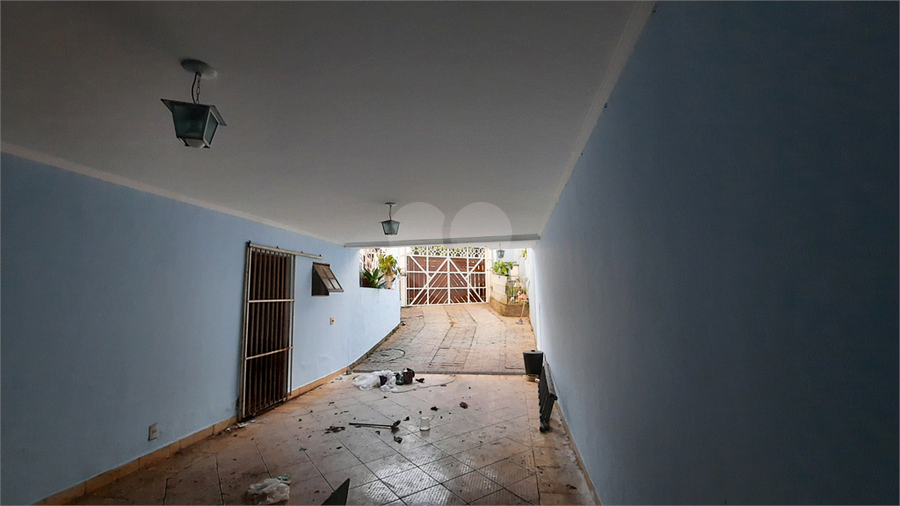 Foto REO1064254