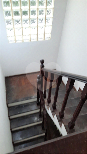 Foto REO1064254