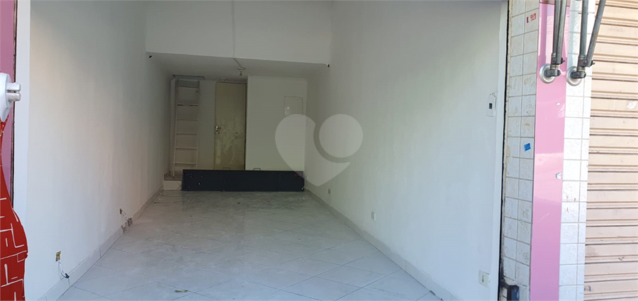 Foto REO1064302