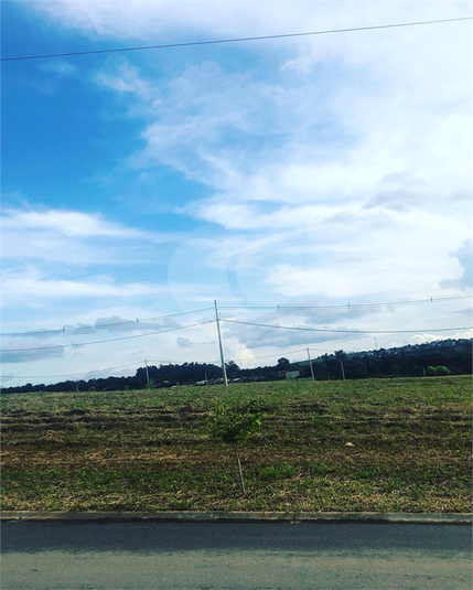 Foto REO1064338